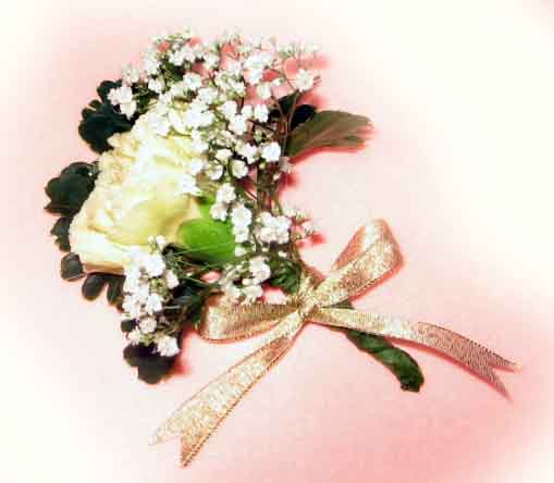 Wedding Carnation Corsage Package w Wedding Bouquet only 
